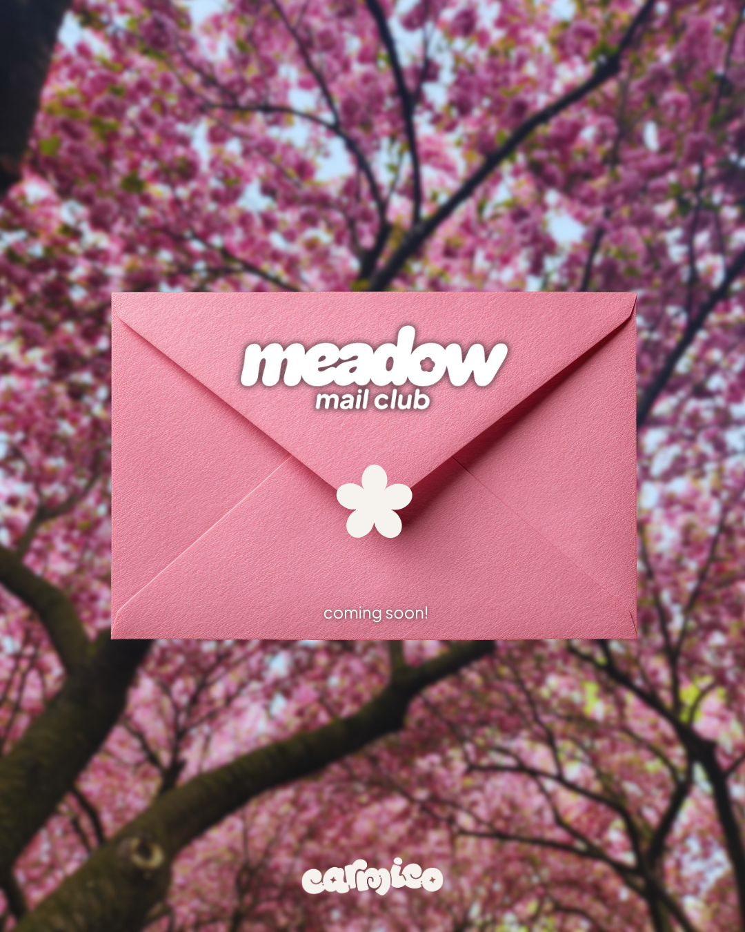 Meadow Mail Club ✿ February